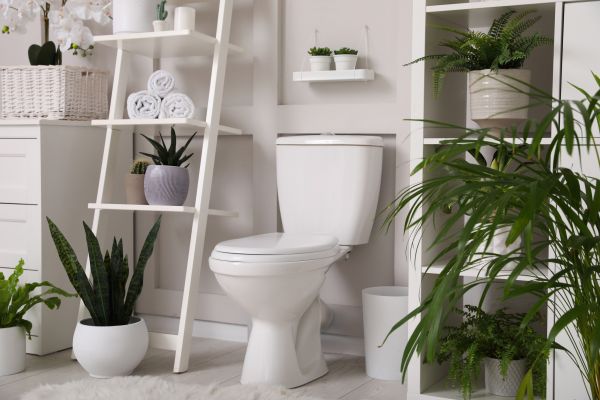 Cost of Toilet Repair in Greensboro
